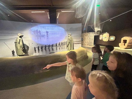 1228a558-8504-4ea0-8b3d-cdb9987ed1dc