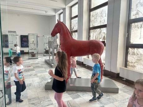 35f4735d-436a-443c-bbd0-96a594583ff0