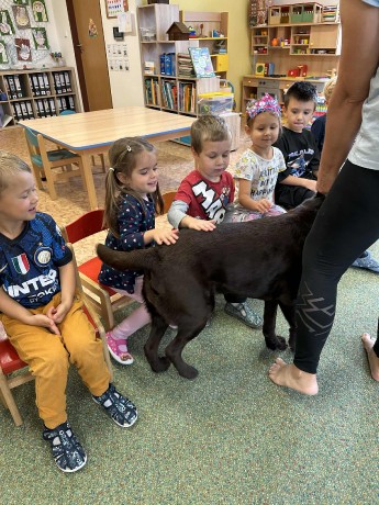 5ed59a88-eace-4dee-9a49-ebbdbd00ee50.jfif