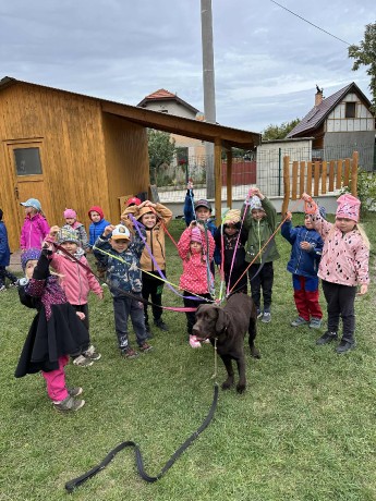 9eb5c055-9b09-4a1f-941c-a48e8e6a8e7e.jfif