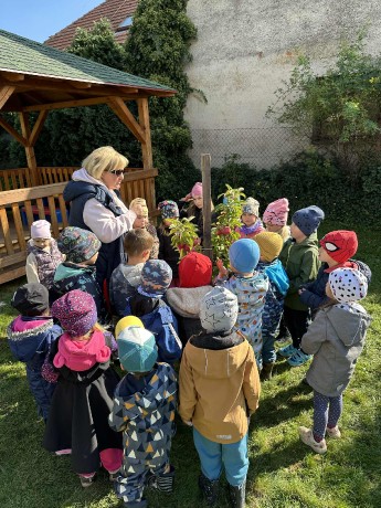 823bd160-99eb-455d-bfb2-559026529d1a.jfif