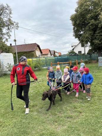 f84ca1b1-fd6a-4672-8c90-4cfba13c9c7f.jfif