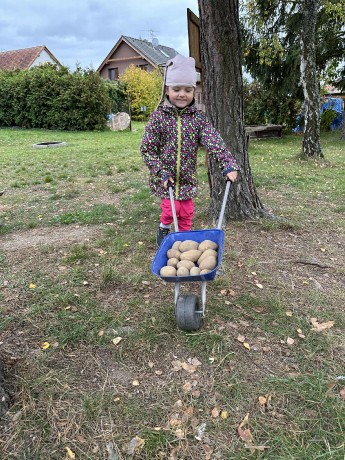 7fef7c50-0aa6-4436-ab36-f52b2f2eaf8f