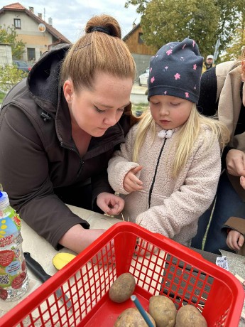 0101f6af-a30e-45fa-b1a5-8ca0445cc932