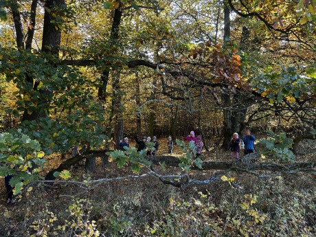 66608868-2720-429e-8111-62c1e8b84705