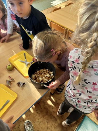 c63db6d5-19a8-4677-93a5-64fb9bc17eb0