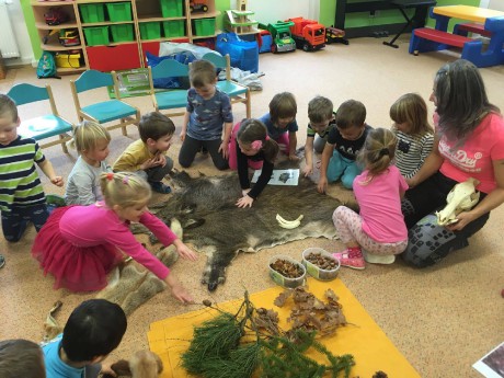 24879117_1771132109564625_943839005_o