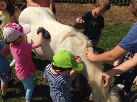 33846184_10213919875165417_840332380349661184_n