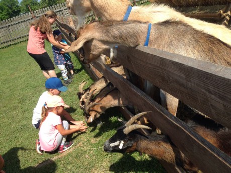 33965464_10213919878725506_5419828946038423552_n