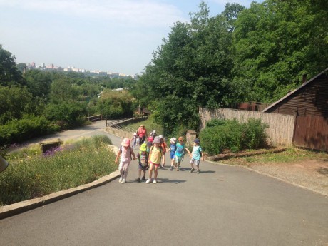 34415276_10213969294920880_2491685921989066752_n