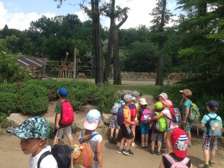 34473091_10213969310681274_7569062028707364864_n