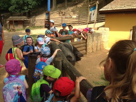 34506546_10213969300601022_5367093520806969344_n