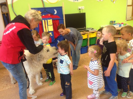 36308898_10214147479415381_3554784881454088192_n