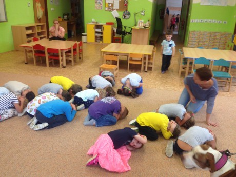 36296956_10214147478855367_1484882353003167744_n