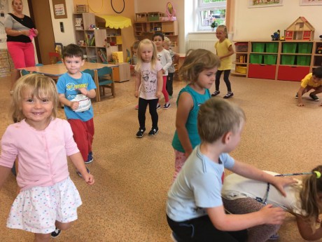 41617414_741896516150233_409789667299295232_n