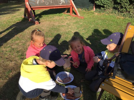 43828692_242397136436892_7372258922033315840_n