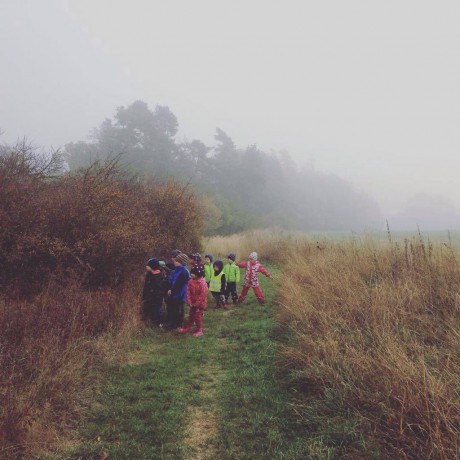 43952501_338883746674887_2744382032246210560_n