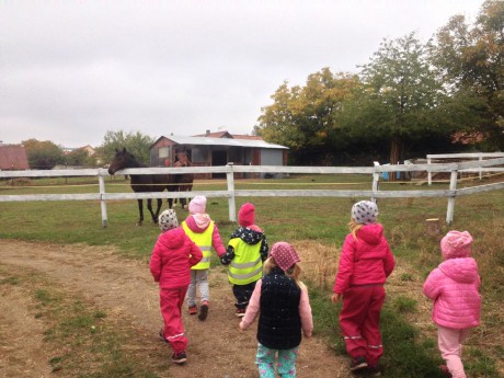 44953684_971748259692983_6092102112248856576_n