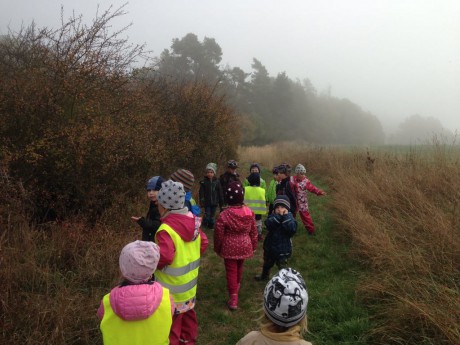 45166324_249693632339952_4171985760792084480_n