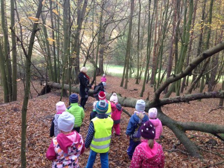 45365661_337411470156230_2202621222670303232_n