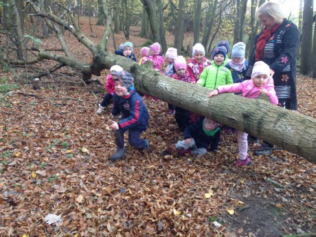 45367135_195911287989061_7205274222812200960_n