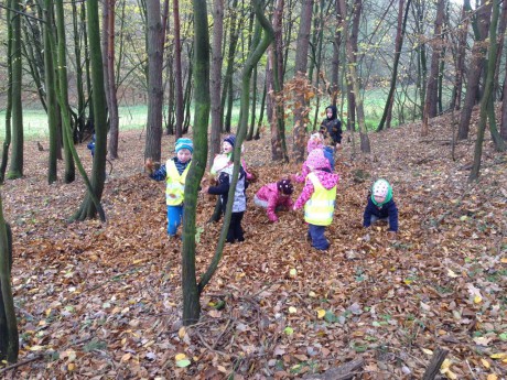 45411333_2073190962719786_7218682651148812288_n