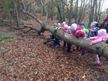 45434276_326851614824718_1252032646670712832_n