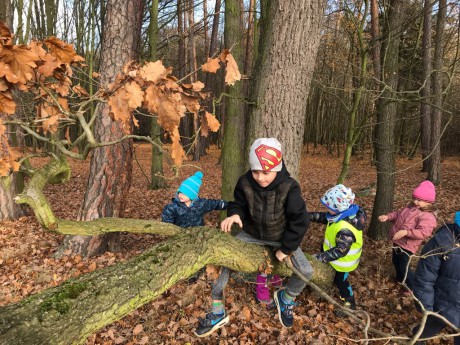 46441626_2227454084201758_8623507934741004288_n