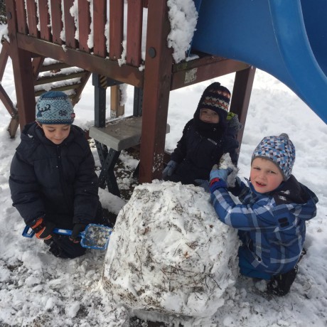 50045954_296319814356387_8814430277704089600_n