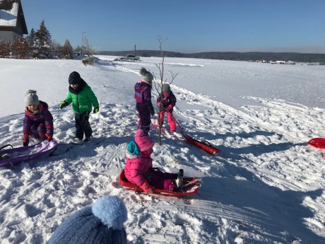 52828210_268677880720148_1755838482359517184_n