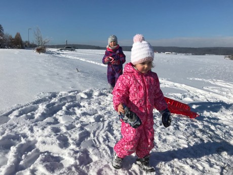 52997075_396183171157696_1529284248895225856_n