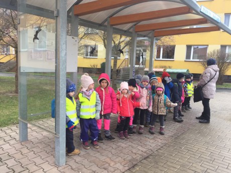 53537406_296740101005858_2728604328150433792_n