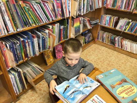 53574227_1134939840013954_2427632751126511616_n