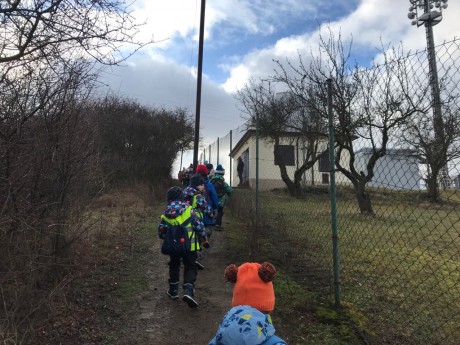 53726544_377978932786781_3790073115598389248_n