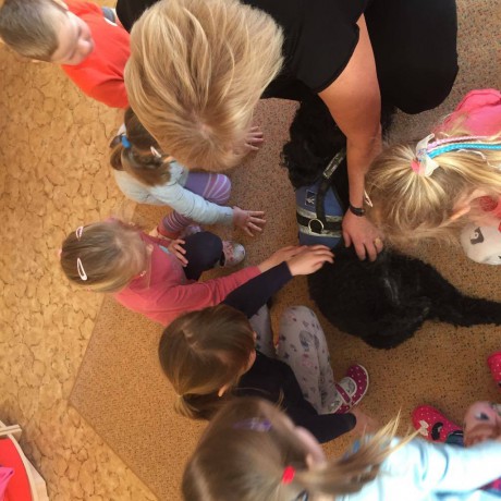 53847913_2104488199665651_8043695342715142144_n