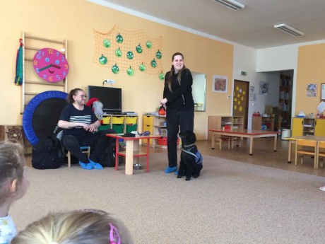 54230706_321059938547788_3764353829227724800_n