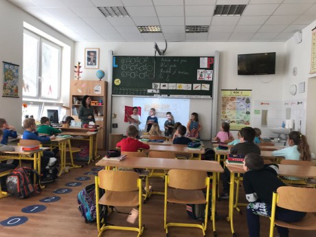 54518365_391023938356123_5380949531980464128_n