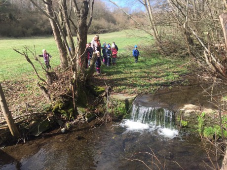 57429678_524097345081654_1550544560348725248_n