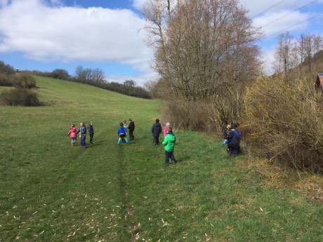 57467988_436727290426977_3757198473842130944_n