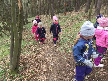 58542846_1820961391339444_3615631163445477376_n