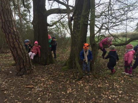 59285524_433076773931696_9059890570658316288_n