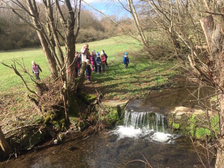 59427055_291832018425569_7603961064643887104_n