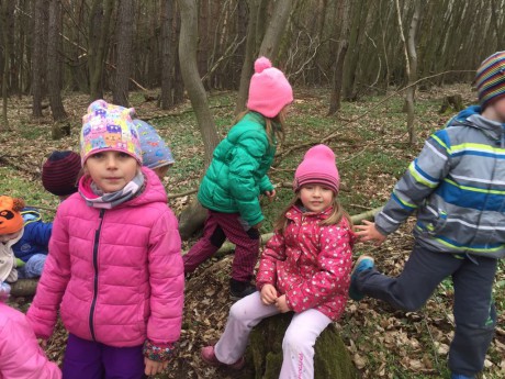 59684636_423281935127420_7675062152285126656_n