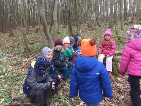 58711609_422532365198765_1606446987090067456_n